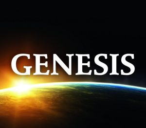 Genesis-het-WILDE-WESTEN-1-titel